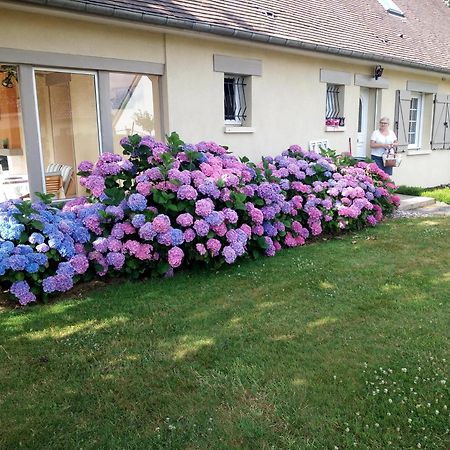 Hibiscus Panzió Malaunay Kültér fotó