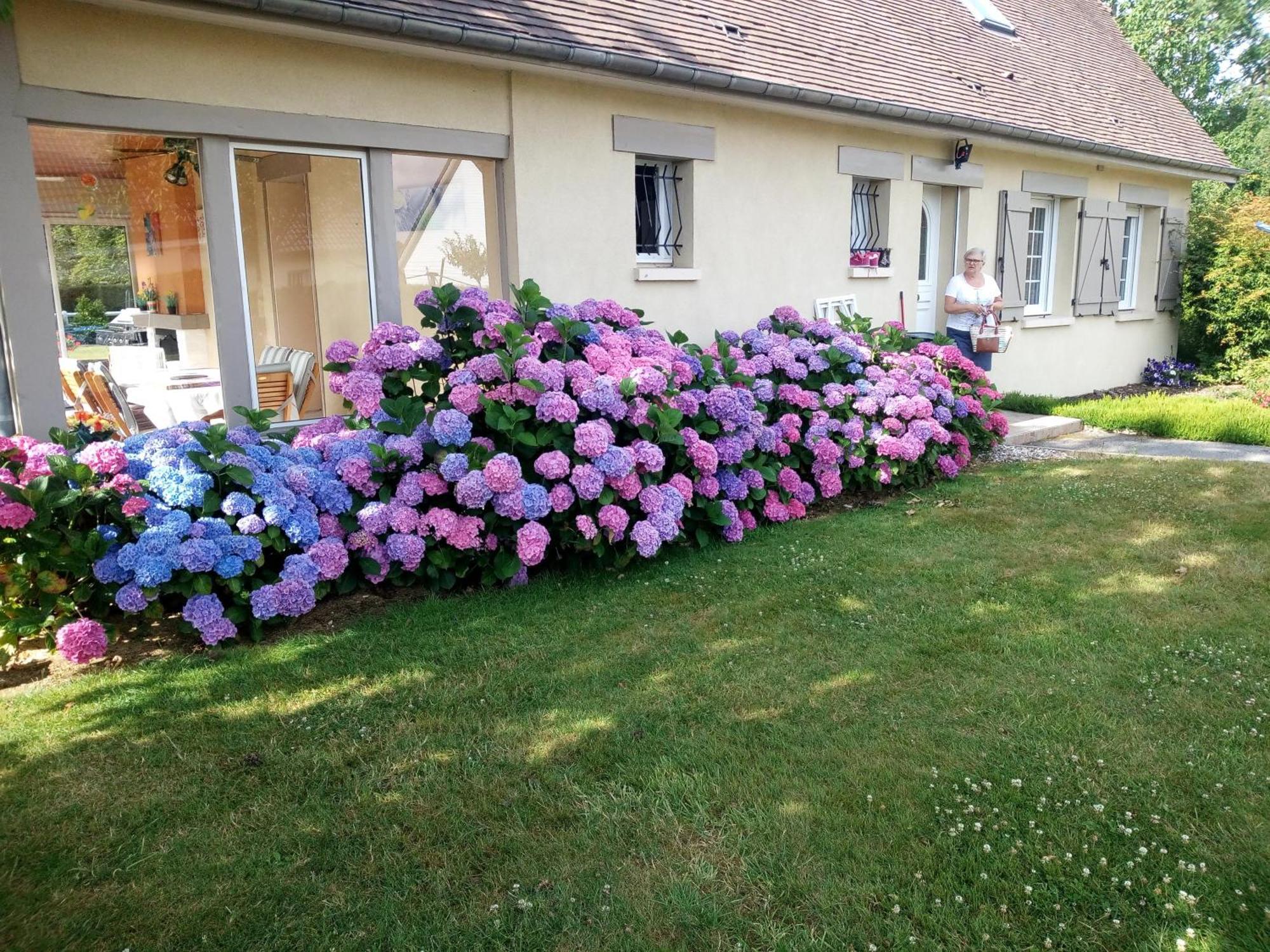 Hibiscus Panzió Malaunay Kültér fotó